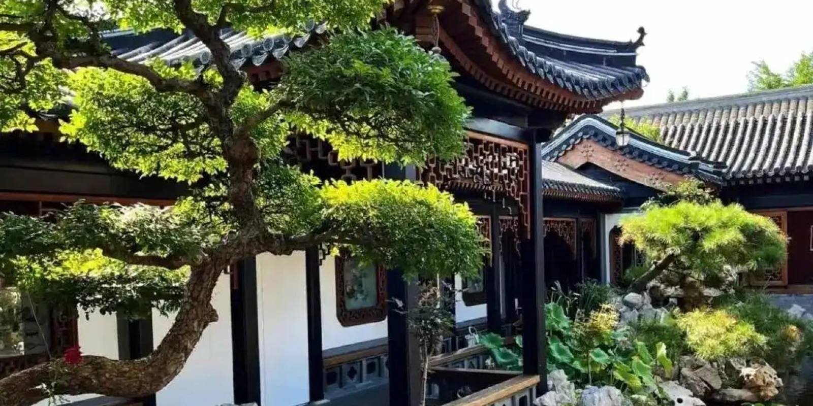 jinnianhui官网金年会绿化养护知识栏目